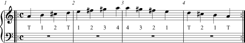 Exercise 6